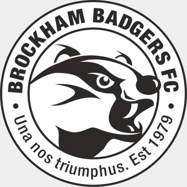Brockham Badgers FC Thumbnail