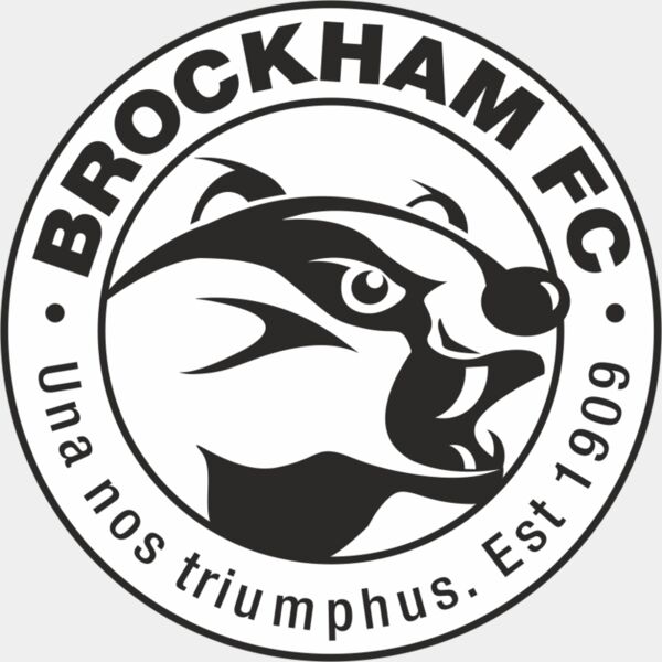 Brockham FC Thumbnail