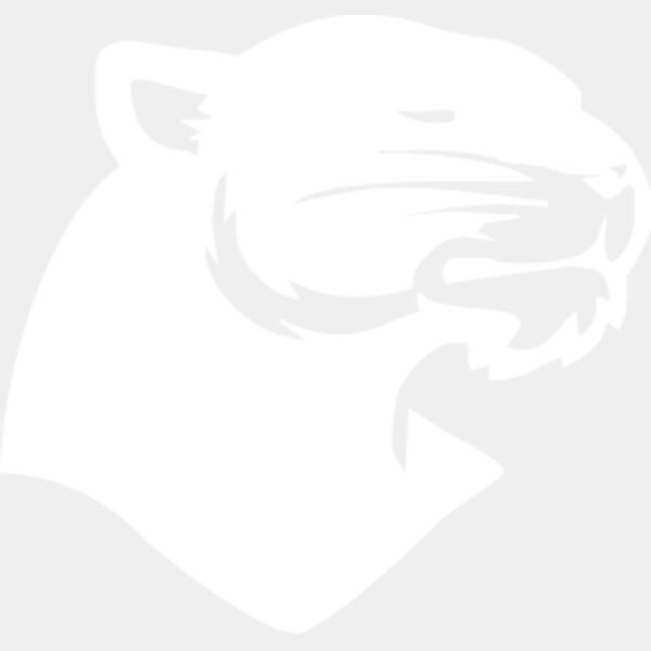 Panthers badge Thumbnail