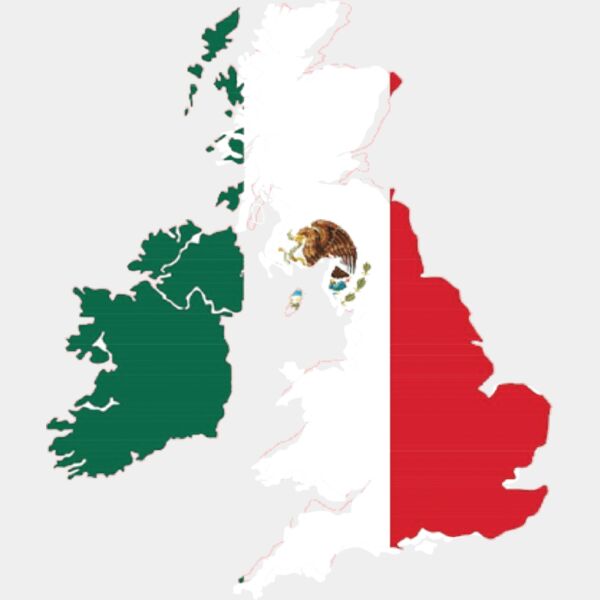 MG 2020 rear print Thumbnail