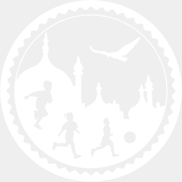 Brighton and Hove Hawks LHB logo Thumbnail