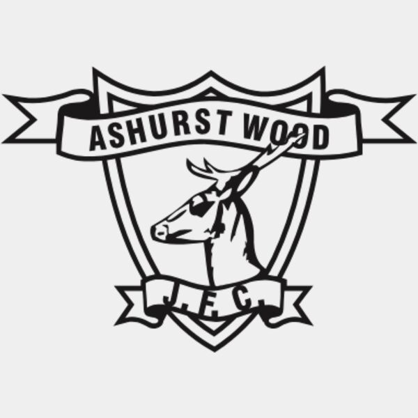 Ashurst Wood JFC Thumbnail