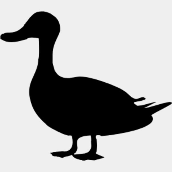 DUCK Thumbnail