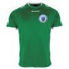 Lions Match Shirt Thumbnail