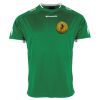 Lions Match Shirt Thumbnail