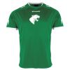Lions Match Shirt Thumbnail