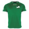 Lions Match Shirt Thumbnail