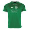 Lions Match Shirt Thumbnail