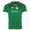 Lions Match Shirt Thumbnail
