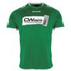 Lions Match Shirt Thumbnail
