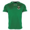 Lions Match Shirt Thumbnail