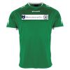 Lions Match Shirt Thumbnail