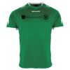 Lions Match Shirt Thumbnail