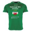 Lions Match Shirt Thumbnail