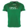 Lions Match Shirt Thumbnail