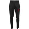Lions Track Pant Thumbnail